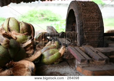 코 프라 제거 휠