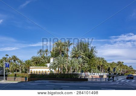 Elche, Alicante, Spain; February 2017: The Palmeral Of Elche, Spain, One Of The Largest In The World