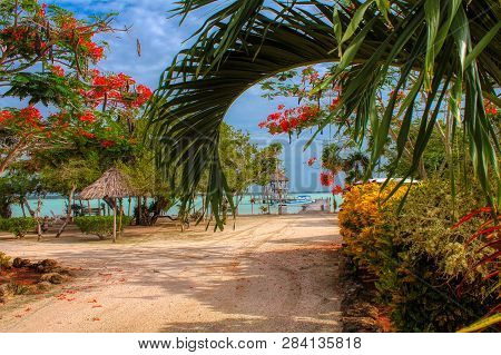 Belize Beach Front. Orchid Bay Belize Early Morning