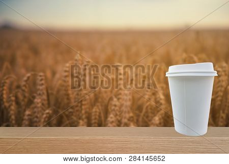Bio Pla Paper Cup Placed In Front Of The Corn Field.