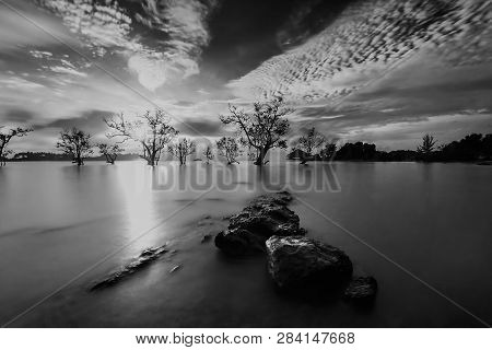 Blackwhite Landscape Photo Of  Batam Bintan Wonderful Indonesia