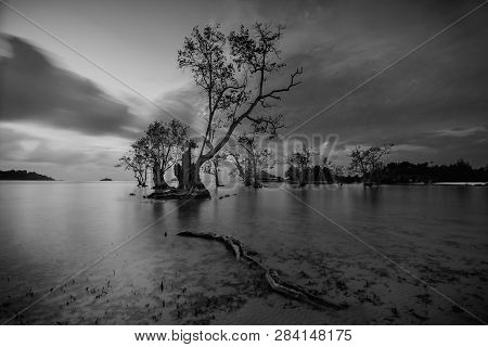 Blackwhite Landscape Photo Of  Batam Bintan Wonderful Indonesia