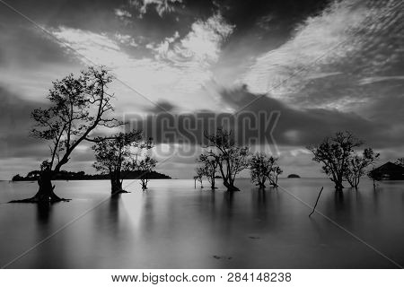 Blackwhite Landscape Photo Of  Batam Bintan Wonderful Indonesia