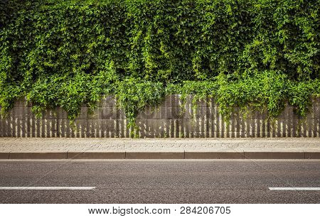 Empty City Road Background With Copy Spcae