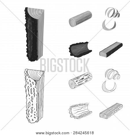 Isolated Object Of Tree   And Raw  Icon. Set Of Tree   And Construction Vector Icon For Stock.