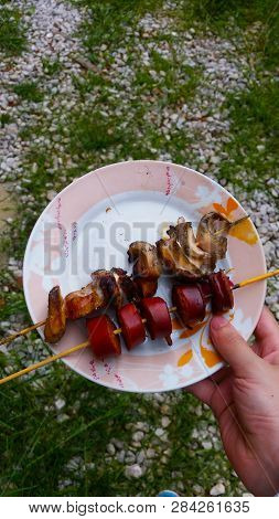 Very Tasty Food Eating Outside In Nature Ambient
