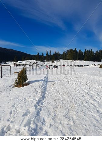 Snowy Hiking Trail With A Forest And A Clear Sky And A Beautiful Mountain