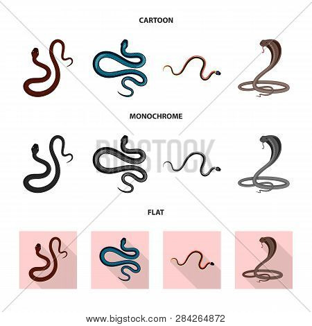 Vector Design Of Mammal And Danger Logo. Collection Of Mammal And Medicine Stock Symbol For Web.