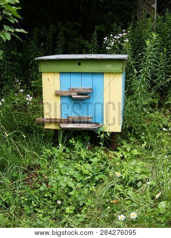 Summer Day Landscape. Apiary In Forest Close Up