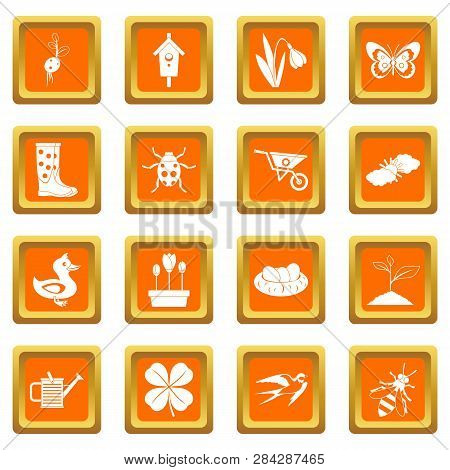 Spring Icons Set In Orange Color Isolated Illustration For Web And Any Design