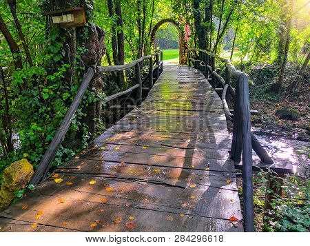An Old Bridge Over The River With A View Of The Forest