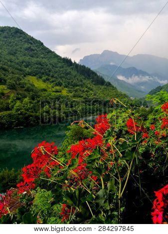 Beautiful View Of The Mountain Panorama With Flowers