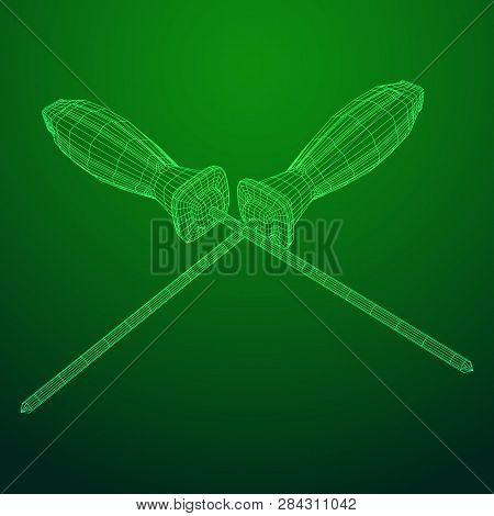 Crosshead Screwdriver. Handyman Tool For Home Repair. Maintenance Themed Abstract Model Wireframe Lo