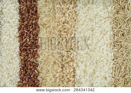 Seven Different Varieties Of Rice Are Placed In Rows. The Texture Of Grains Of Rice Of Different Col
