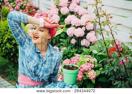 Flower Care And Watering. Soils And Fertilizers. Hydrangea. Spring And Summer. Happy Woman Gardener 