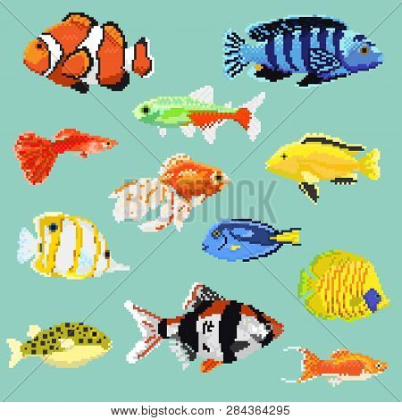Big Set Of Pixel Exotic Fish Isolated On A Blue Background.