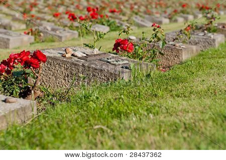 Cimitero di Terezin