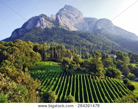 Gonzen Mountain Or Gonzen Berggipfel In The Appenzell Alps Mountain Range - Canton Of St. Gallen, Sw