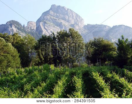 Gonzen Mountain Or Gonzen Berggipfel In The Appenzell Alps Mountain Range - Canton Of St. Gallen, Sw