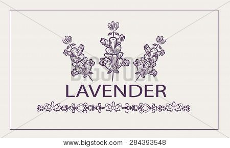 Graphic Abstract Vector Illustration With Lavender Elements. For Print, Poster