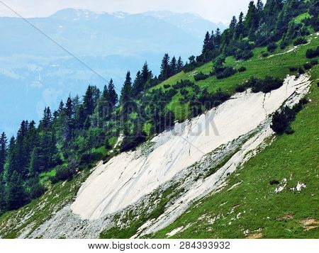Stones And Rocks Of Gonzen Mountain Above Sargans And The River Rhine Valley - Canton Of St. Gallen,