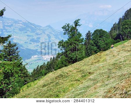 View Of The River Sezz Valley (seeztal) From The Gonzen Mountain - Canton Of St. Gallen, Switzerland
