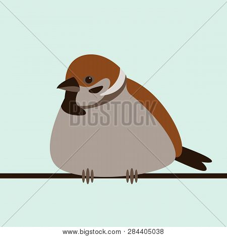 Bird Sparrow, Vector Illustration, Flat Style, Front View