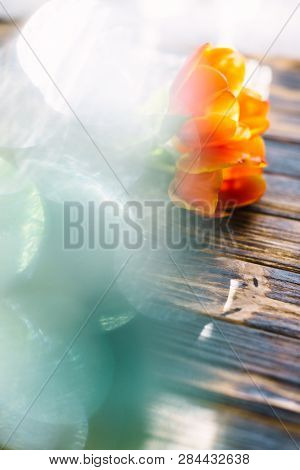 Blossoming Red Tulips On A Wooden Background With Sweets
