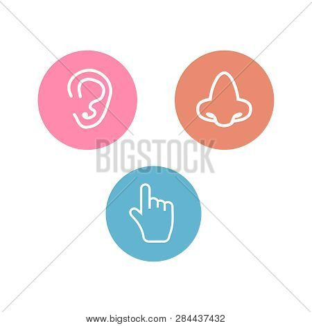 Five Senses Icon. Sets Of Icons Representing The Five Senses