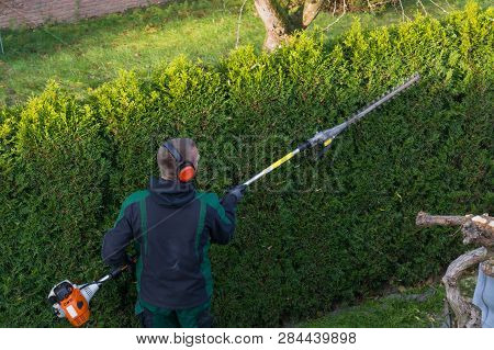 Gardener Cuts A Hedge With A Gasoline Hedge Trimmer. Shaping A Wall Of Thujas