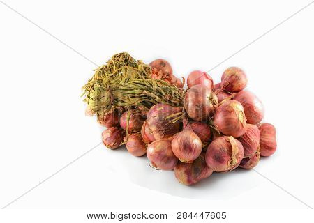 Pile Of Bunch Shallots Isolated On White Background - Allium Ascalonicum