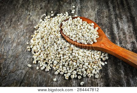 Job's Tears Coix Lachryma Jobi Grain Seeds On Wooden Spoon On Rustic Wood Background