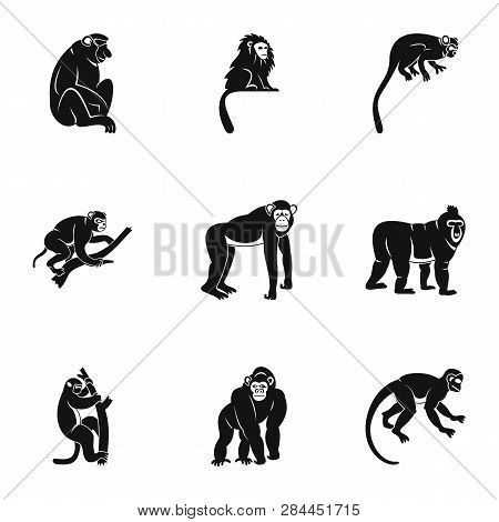 Different Monkey Icon Set. Simple Set Of 9 Different Monkey Icons For Web Isolated On White Backgrou