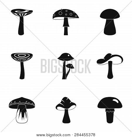 Mushroom Species Icon Set. Simple Set Of 9 Mushroom Species Icons For Web Isolated On White Backgrou