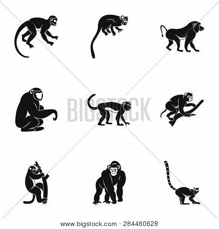 Species Of Monkey Icon Set. Simple Set Of 9 Species Of Monkey Icons For Web Isolated On White Backgr