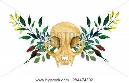Cat Skull On The Background Of A Wreath Of Branches