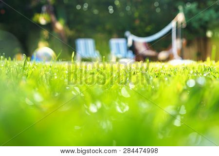 Selective Focus On Green Grass With Water Drops As Dew And Bokeh Background On The House Yard With S