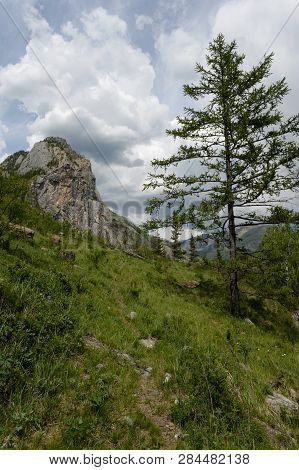 Mountain Landscape By The River Chuya, Altai Republic, Siberia, Russia