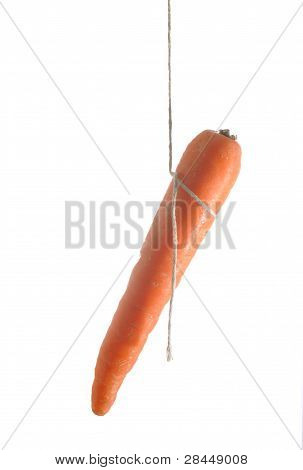 Gulerod på nogle String