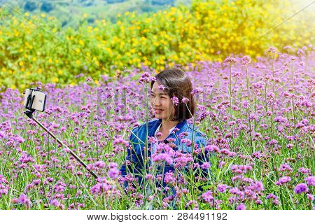 Woman Tourist Are Taking Selfie With Smartphone In Purple Flower Field Of Verbena Bonariensis Or Pur