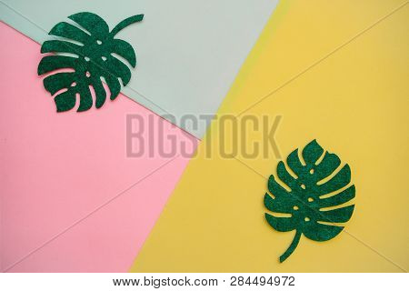 Monstera Leaves On A Colorful Background In Minimal Style. In The Middle There Is A Place For Text.