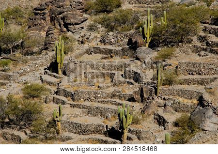 Ancient Quilmes Ruins - Tucuman - Argentina