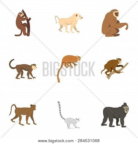 Tropical Monkey Icon Set. Flat Set Of 9 Tropical Monkey Icons For Web Isolated On White Background