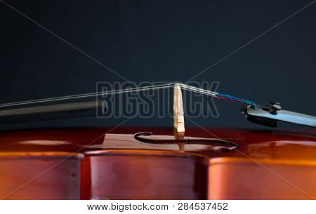 Violin Or Fiddle In White Background, Viola