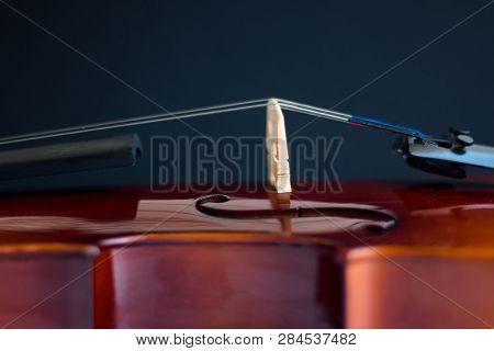 Violin with bow in white background or fiddle in white background