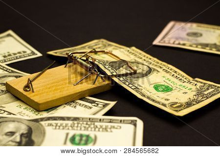 Stylish Studio Dark Concept Of Money, Currency And Mousetrap. Greed And The Desire For Quick Easy Mo