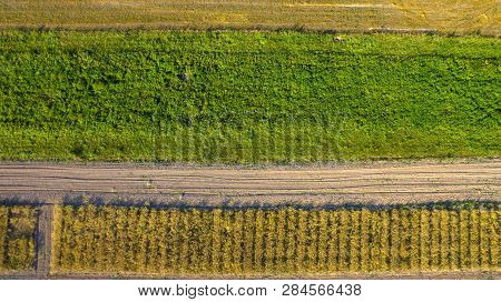 Top View On Flat Geometric Areas Of An Agricultural Field
