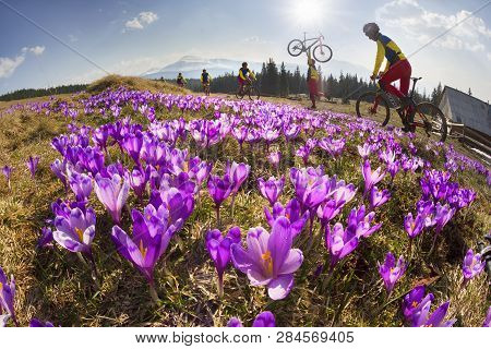 Racer Among  Fantastic Gentle Flowers