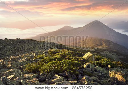 Gentle Misty Mountains