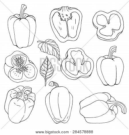 Black And White Contour Set With Bell Peppers. Monochrome Outline Of Bell Peppers Isolated On White